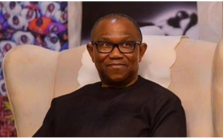 The Tribunal rejects the testimony of ten out of thirteen witnesses for LP, Obi.