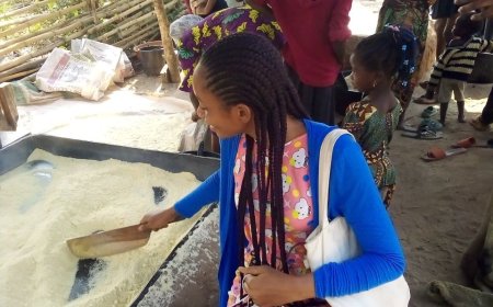 NON-FICTION: DESCRIPTION OF MY FIELD EXPERIENCE