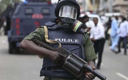 ABDUCTED MEDICAL STUDENTS REGAIN FREEDOM