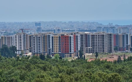 Urbanization and Deforestation.