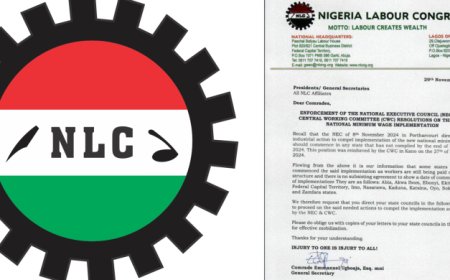 Another Strike Action Looms as 12 States, FCT, Fails to Implement New Minimum Wage