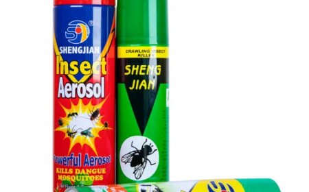 THE USE OF INSECTICIDE IN HOMES