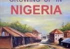 GROWING UP NIGERIAN: A Continuous Journey Of Chaos, Community and Home.