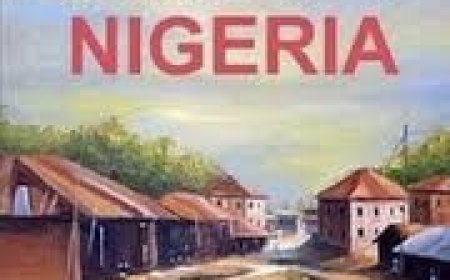 GROWING UP NIGERIAN: A Continuous Journey Of Chaos, Community and Home.