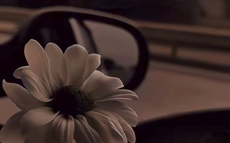 5 WAYS TO LIVE A SOFT LIFE AS A HARD WORKER