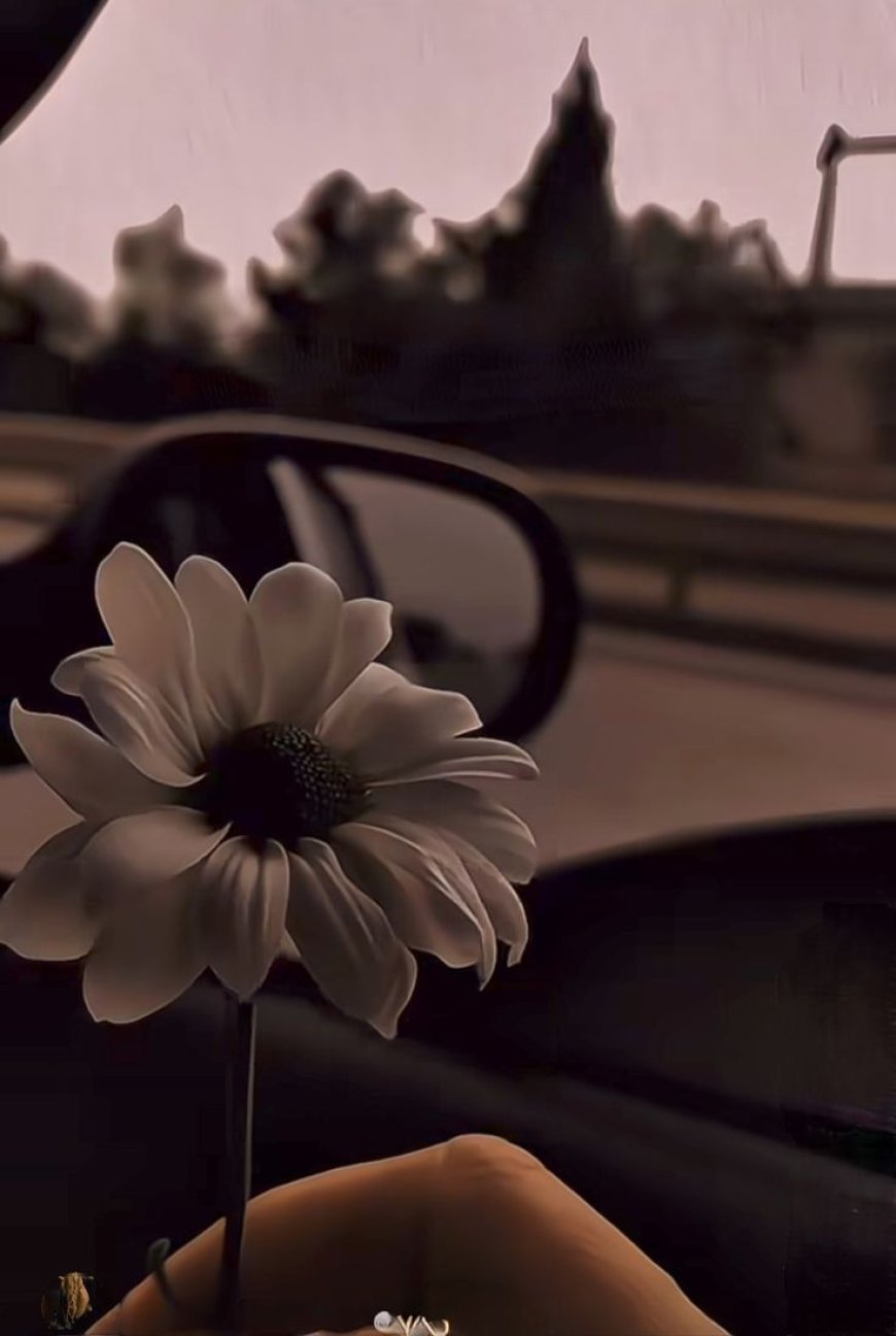 5 WAYS TO LIVE A SOFT LIFE AS A HARD WORKER