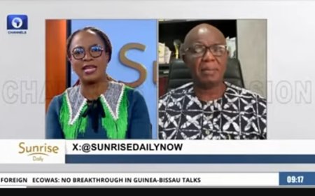 GOVERNMENT RESPONSE TO LEAD POISONING CRISES IN OGUN STATE