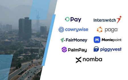 NIGERIAN FINTECHS ARE MAKING MONEY BUT ARE THEY MAKING LIFE EASIER?