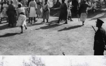 The roar of 25,000: The Aba Women's Riot of 1929