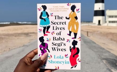 A beginner's guide to loving Nigerian fiction