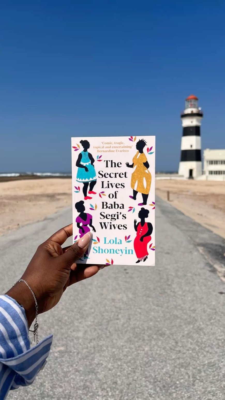 A beginner's guide to loving Nigerian fiction