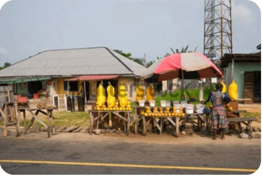 OUTRAGE AS WOMEN ARE HARASSED AT OZORO CULTURAL FESTIVAL, SUSPECTS IN CUSTODY