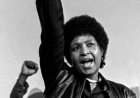 Saint or Sinner: How Winnie Was Swallowed
