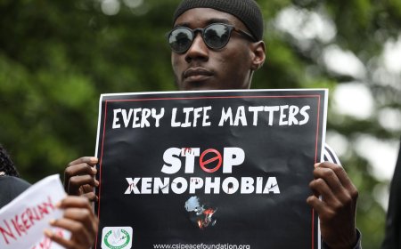 Xenophobia and the Nigerian Question: Looking Beyond the Headlines