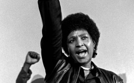 Saint or Sinner: How Winnie Was Swallowed