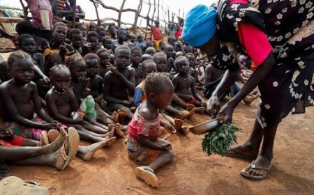 GLOBAL AND NIGERIAN FOOD SECURITY IN 2026: A Growing Crisis with Paths to Hope
