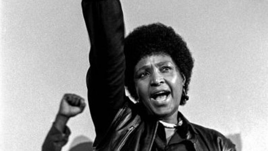 Saint or Sinner: How Winnie Was Swallowed