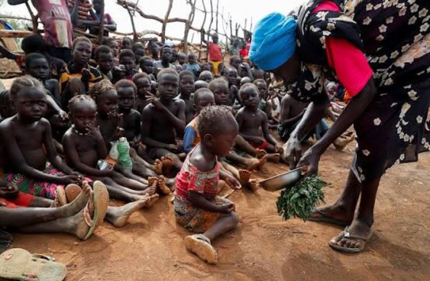 GLOBAL AND NIGERIAN FOOD SECURITY IN 2026: A Growing Crisis with Paths to Hope