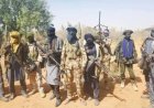 Nigeria's Banditry Crisis: A Cycle Without End