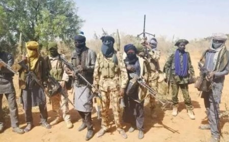 Nigeria's Banditry Crisis: A Cycle Without End