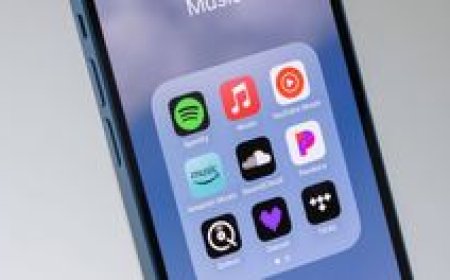 The Economics of Streaming: Who Really Benefits from Music Consumption?
