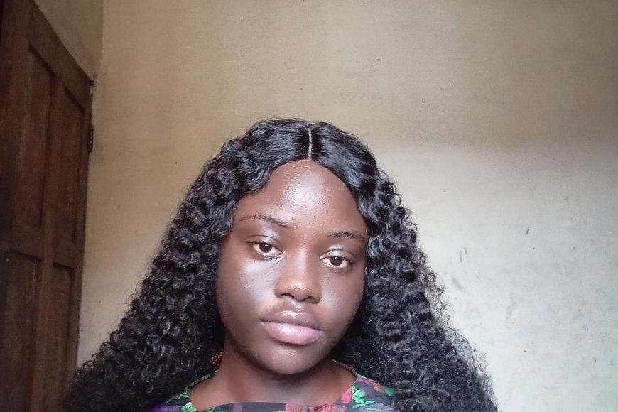 My internship experience