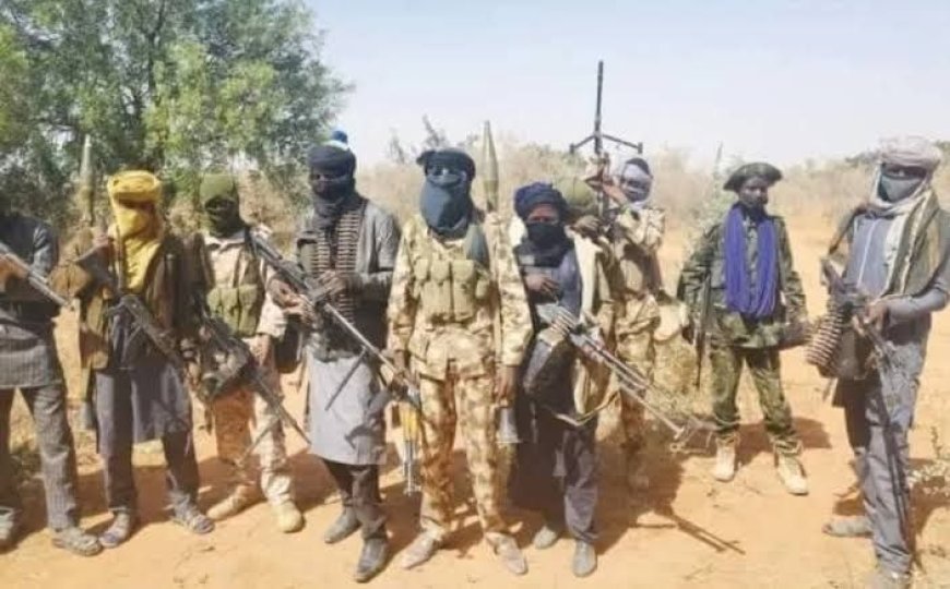 Nigeria's Banditry Crisis: A Cycle Without End